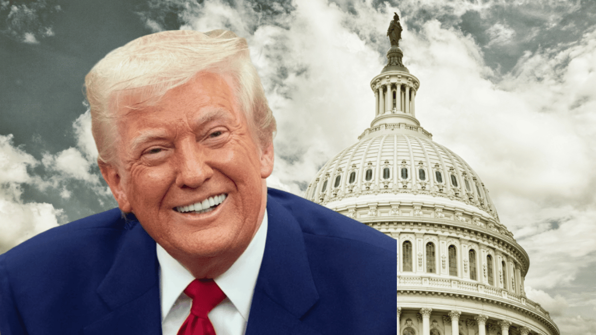 trump tariff dividend timelines